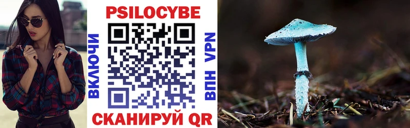 Купить закладки  Плёс  Псилоцибиновые грибы Magic Shrooms 
